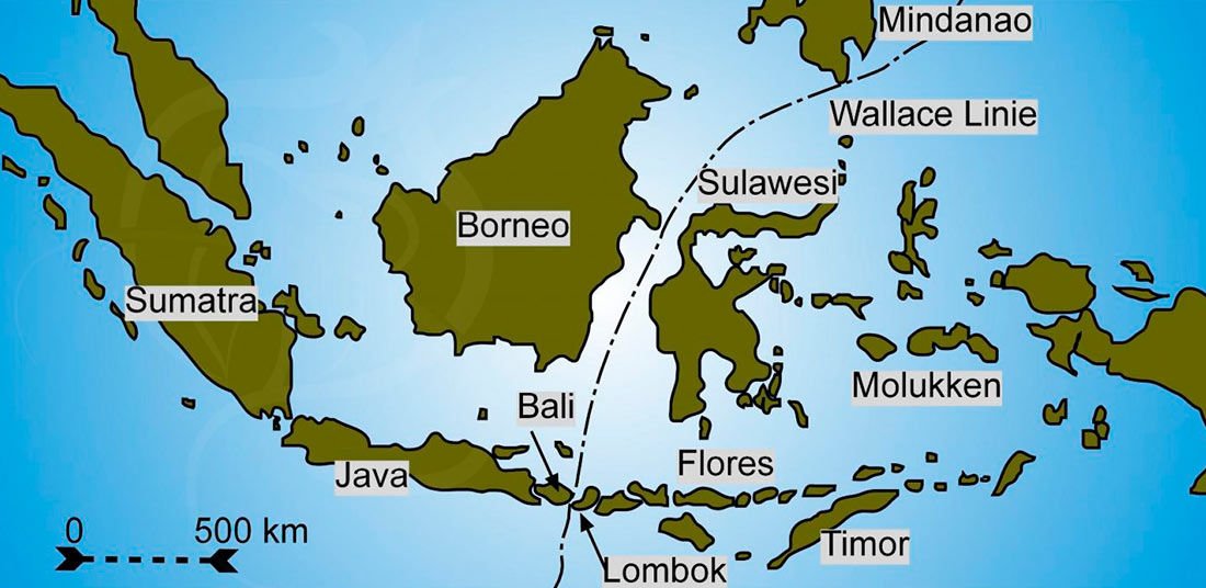 Indonesia, isla de Flores